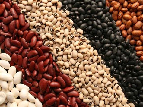 Beans: The Ultimate Musical Superfood